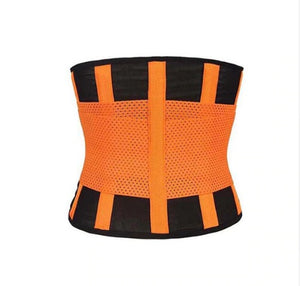 Waist trainer belt